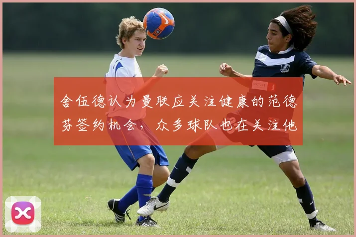 舍伍德认为曼联应关注健康的范德芬签约机会，众多球队也在关注他